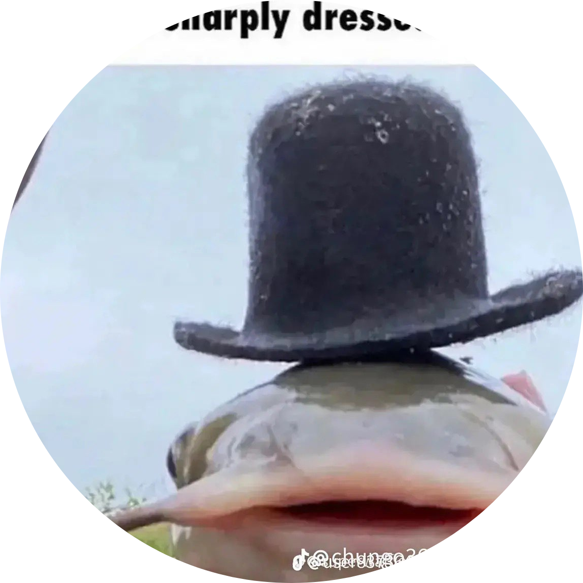 profile picture of Rad